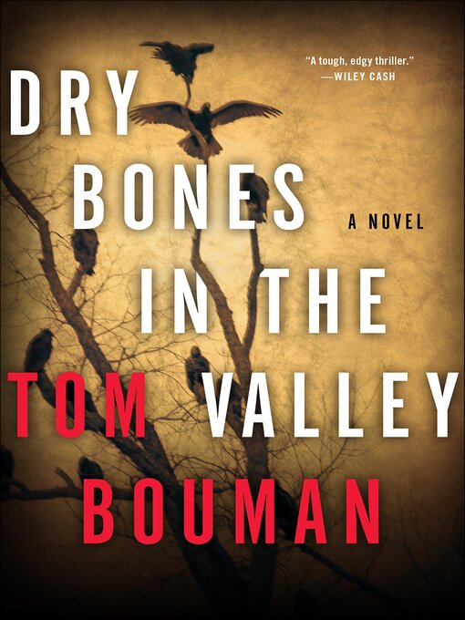 Title details for Dry Bones in the Valley by Tom Bouman - Wait list